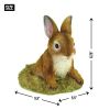 Curious Bunny Garden Decor