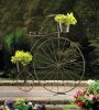 Old-Fashioned Bicycle Plant Stand